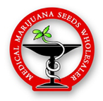 Medical Marijuana Seed Wholesalers